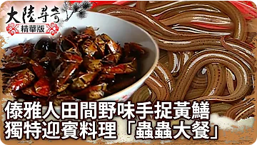 傣雅人田間野味手捉黃鱔 獨特迎賓料理「蟲蟲大餐」 | 大陸尋奇